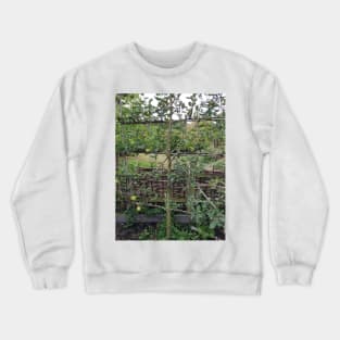 Espalier fruit in the monastery garden Crewneck Sweatshirt